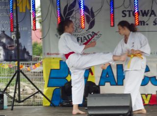 Karate dla dzieci w Ostrowcu Św. 